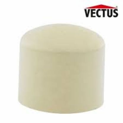 Picture of VECTUS CPVC END CAP , SIZE - 20 MM 