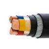 Picture of  Copper Armored XLPE PVC Insulated Cable-Number of Cores: 2 core, Cable Size: 6 SQ. MM