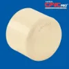 Picture of VECTUS CPVC END CAP , SIZE - 65 MM 